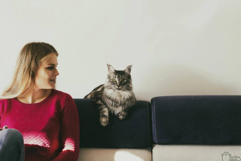 Catsitter – profesjonalna kocia niania