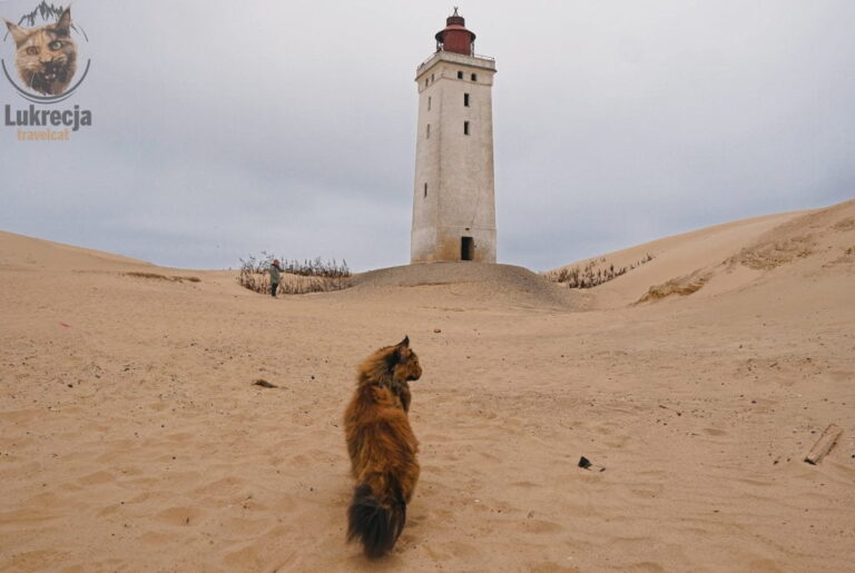 Lukrecja the travel cat czyli kot, który zwiedza świat