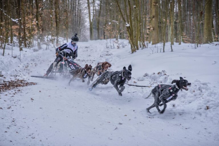 Trening w warunkach śnieżnych