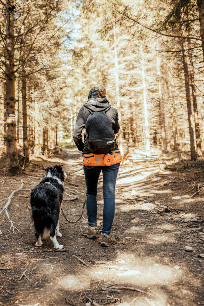 Jak wybrać pas do biegania i  trekkingu i  z psem?